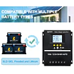 Regulador de Carga solar 100Amper MPTT
