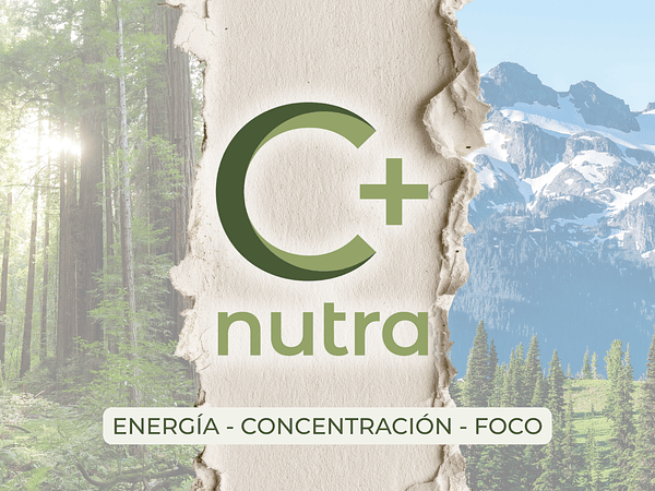 Hongos Adaptógenos: El Poder de la Naturaleza en Extractos Premium