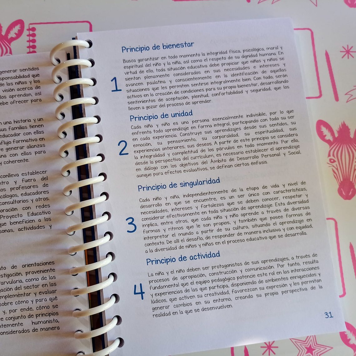 Bases curriculares educación parvularia anillado 2