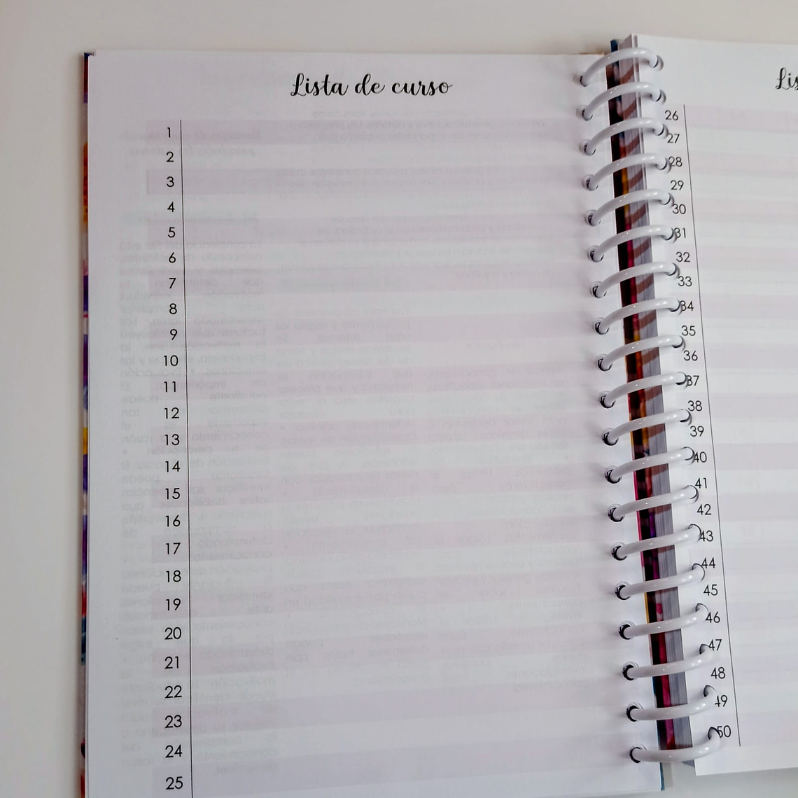 Agenda planificador docente 2026 5