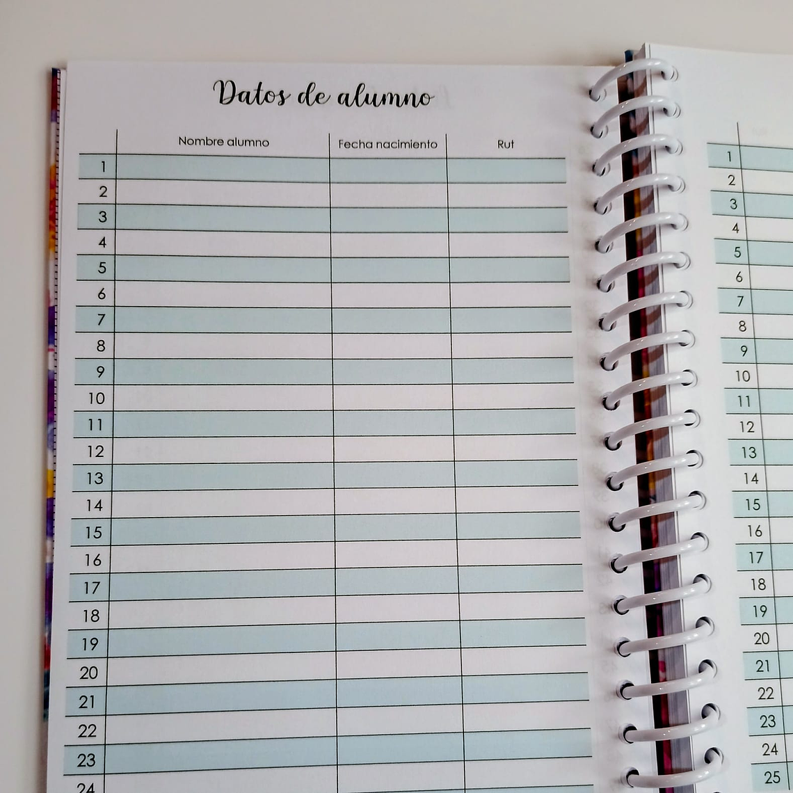 Agenda planificador docente 2026 6