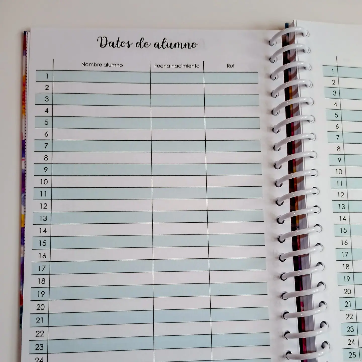 Agenda planificador docente 2026 6