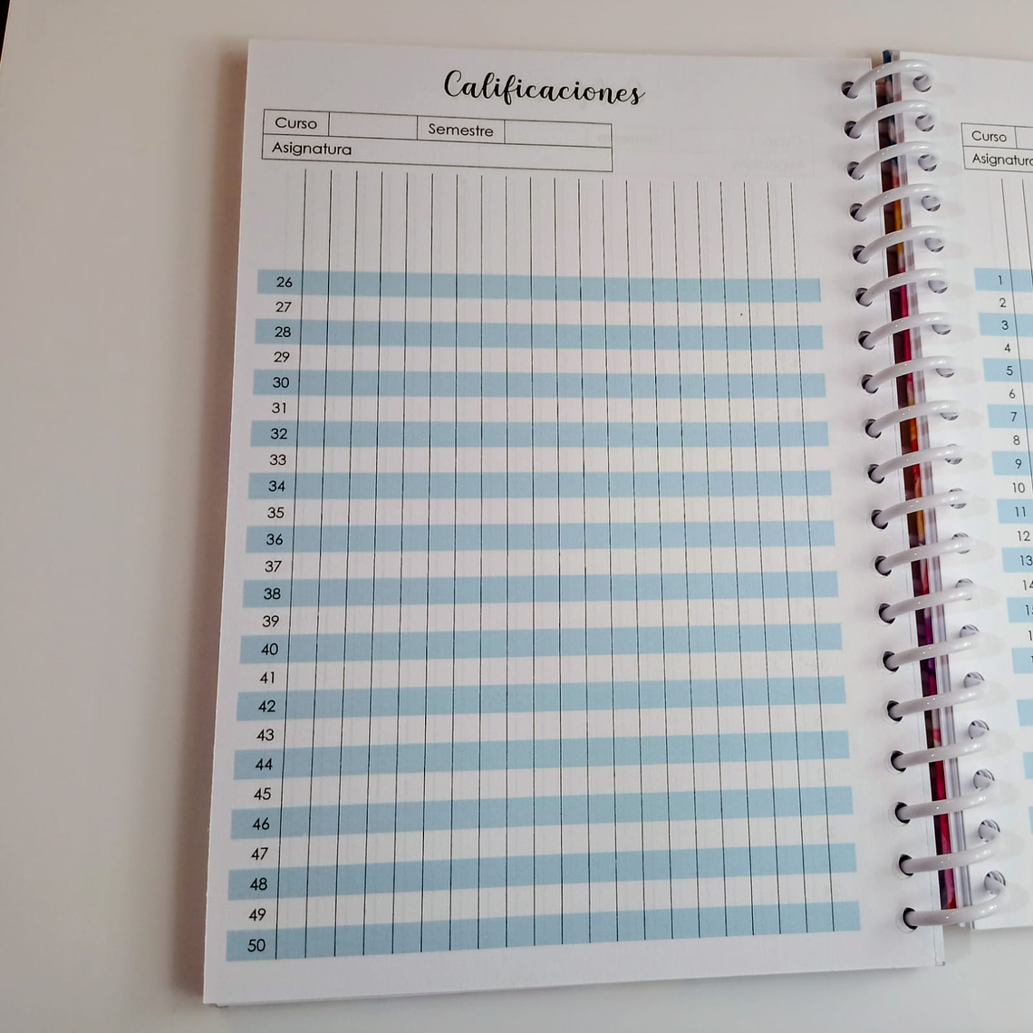 Agenda planificador docente 2026 10