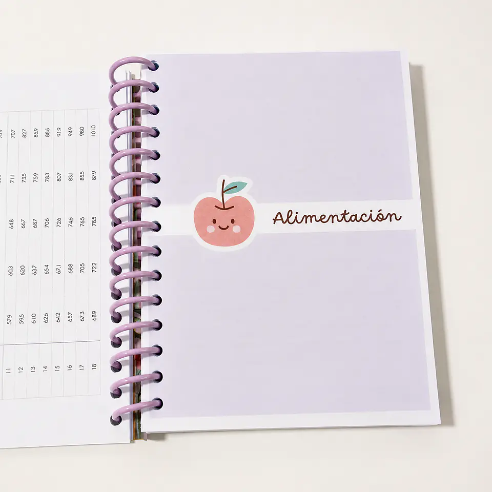 Agenda/cuaderno Control Pediátrico | Control Sano + Particular 4
