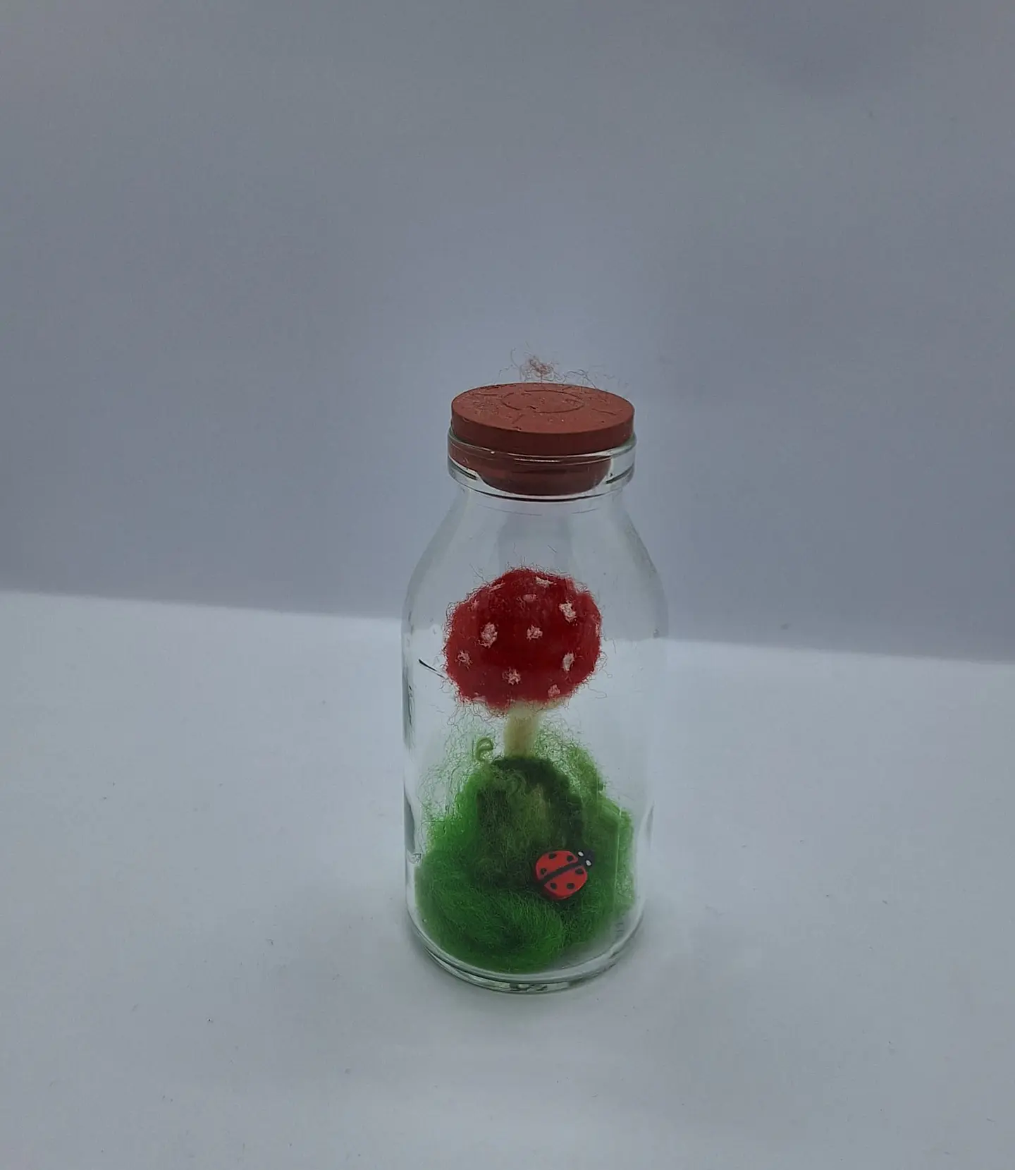 Cogumelos - Lã feltrada 5