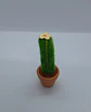 Cactos - Miniatura 6
