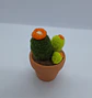 Cactos - Miniatura 2
