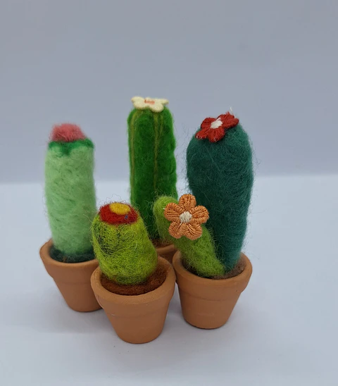 Cactos