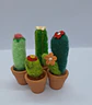 Cactos - Miniatura 1