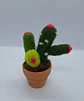Cactos - Miniatura 7