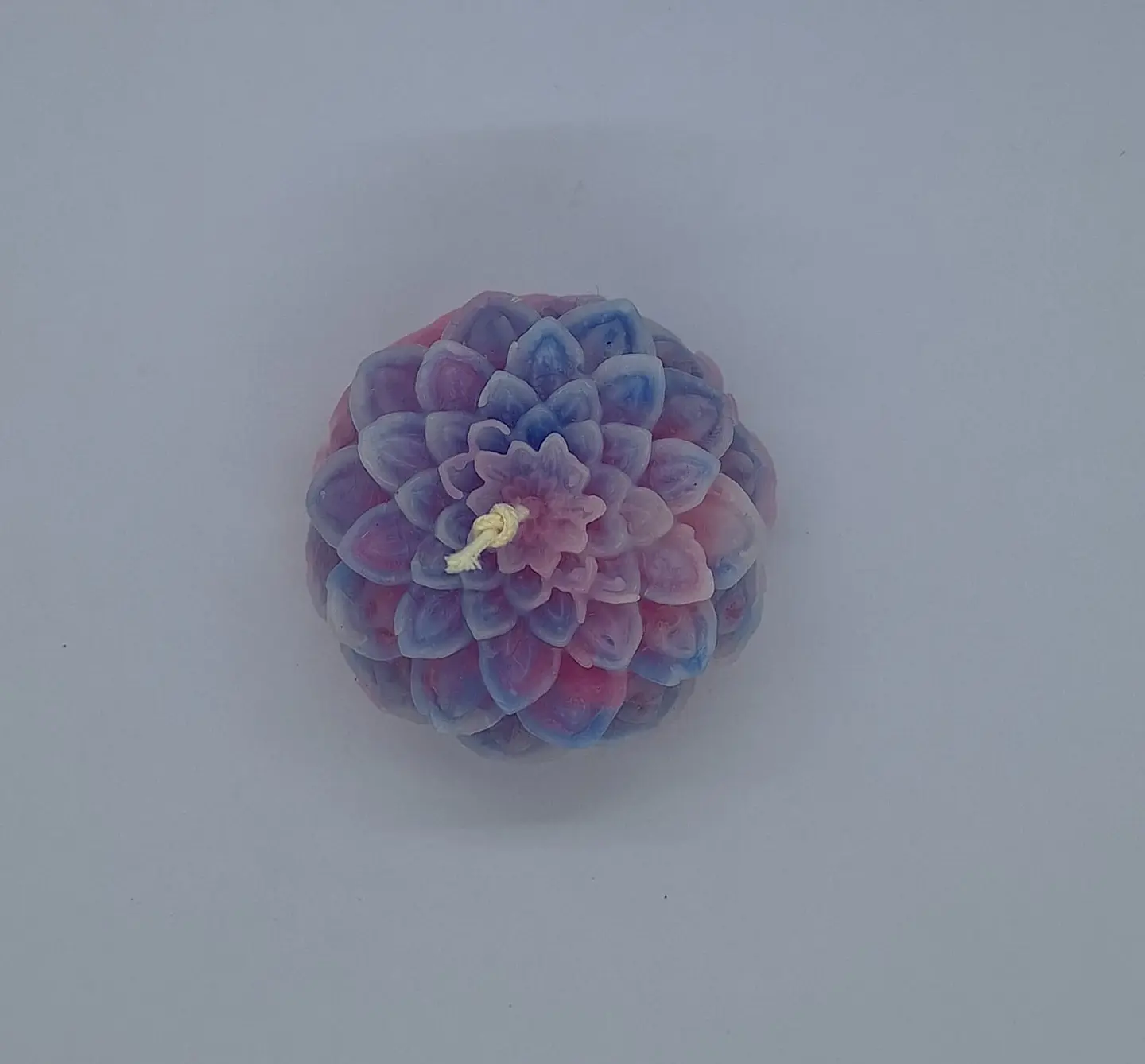 Vela Dália Rosa Azul Lilás 3