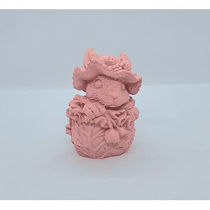 Coelho numa couve em rosa 