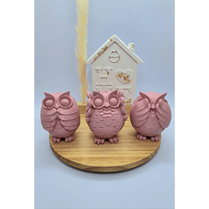 Gift Owls in Home