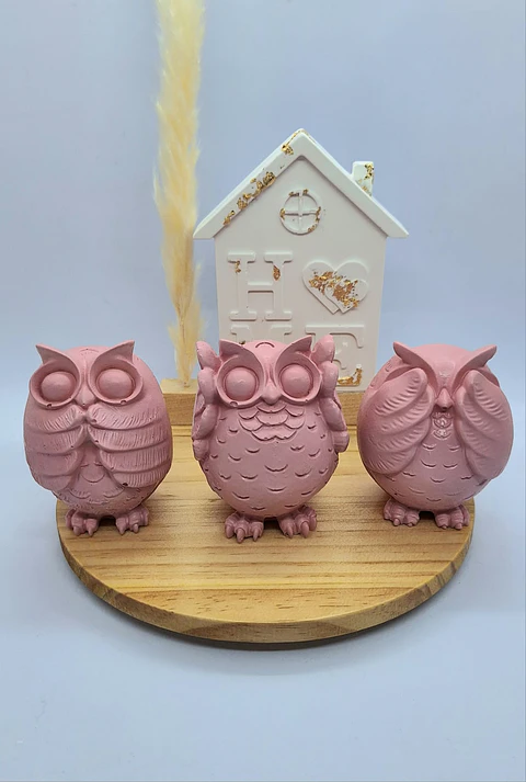 Giftbox Owls in Home