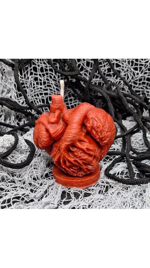 Coração em Chama – Vela Anatómica