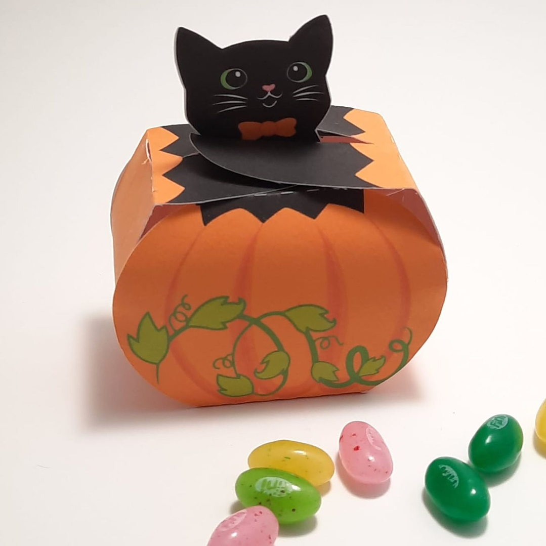 Docinhos Caixinha Gatinho 1