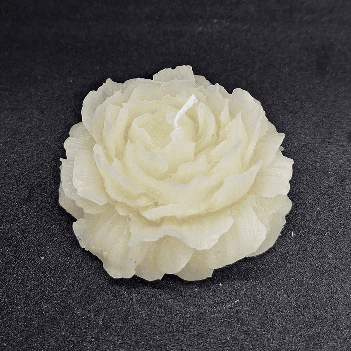 Vela Peônia Georgina Natural em cera vegetal 1