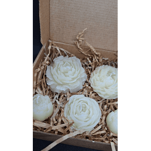 Caixa 5 velas Peônias perfumadas