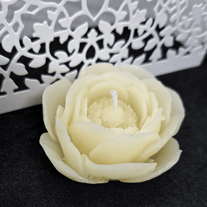 Vela Camélia Natural Parafina 1