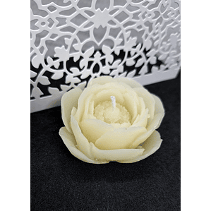 Vela Camélia Natural Cera Vegetal