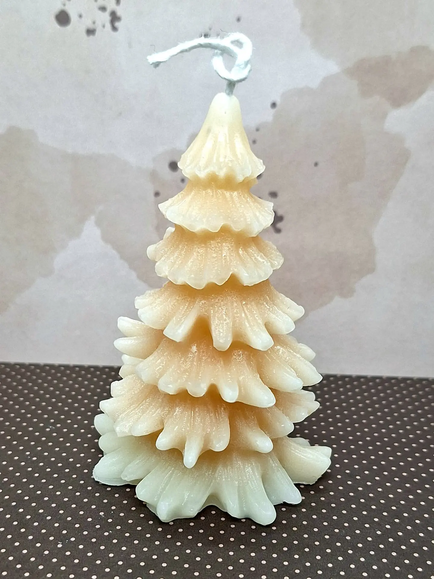 Vela Pinheiro Nórdico 1