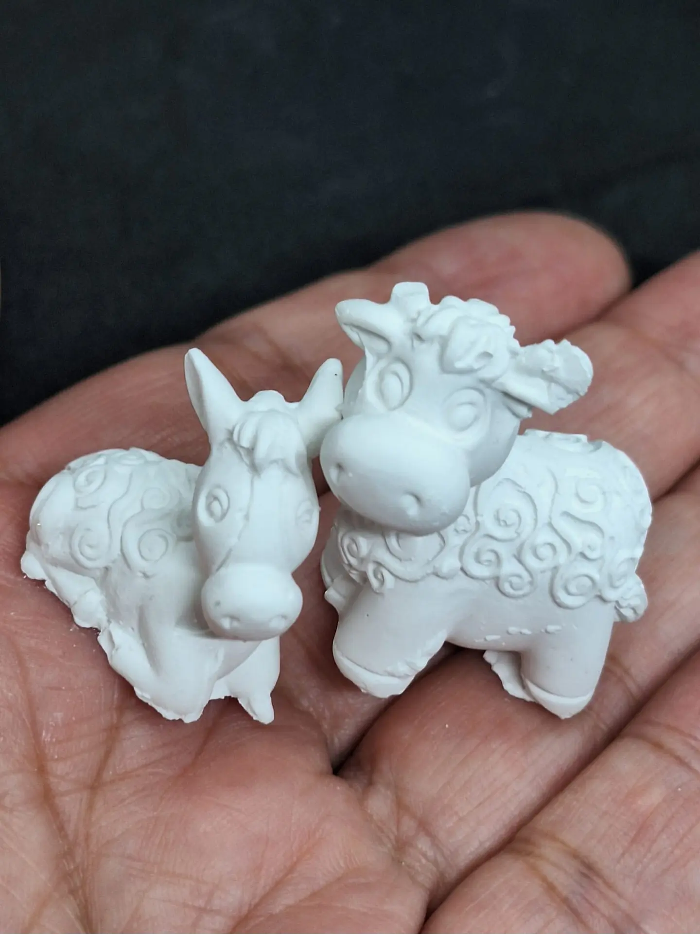 Burrinho e Vaquinha 4