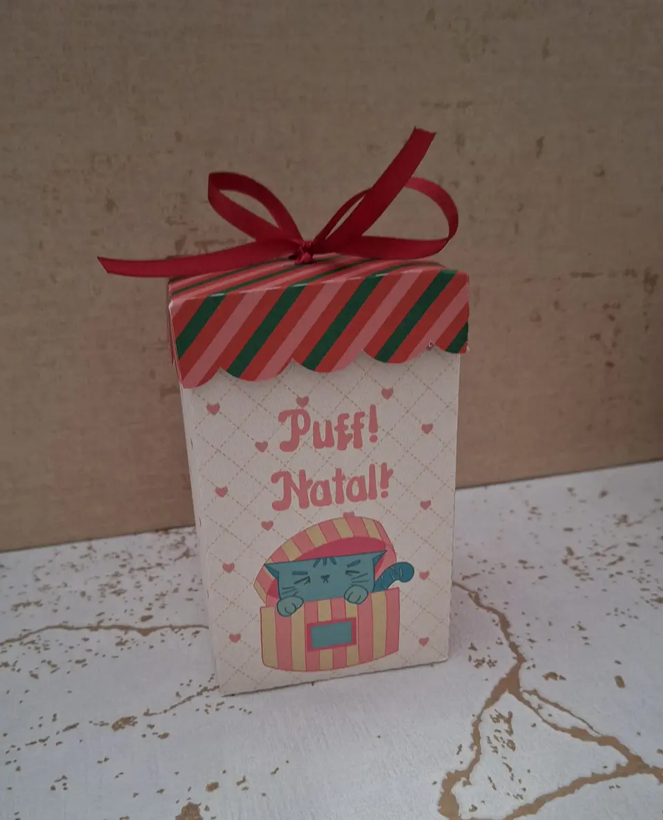 Caxinha alta Puff 1