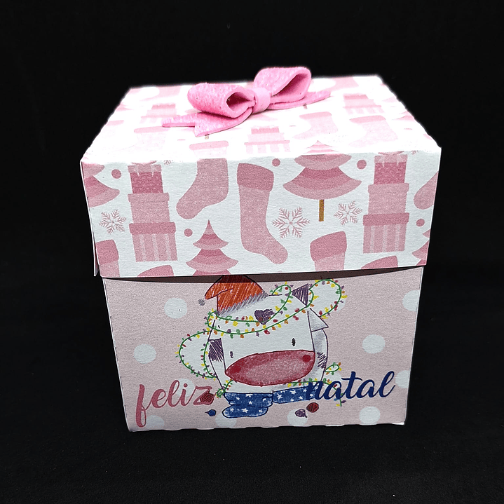 Caxinha quadra Miminho 1