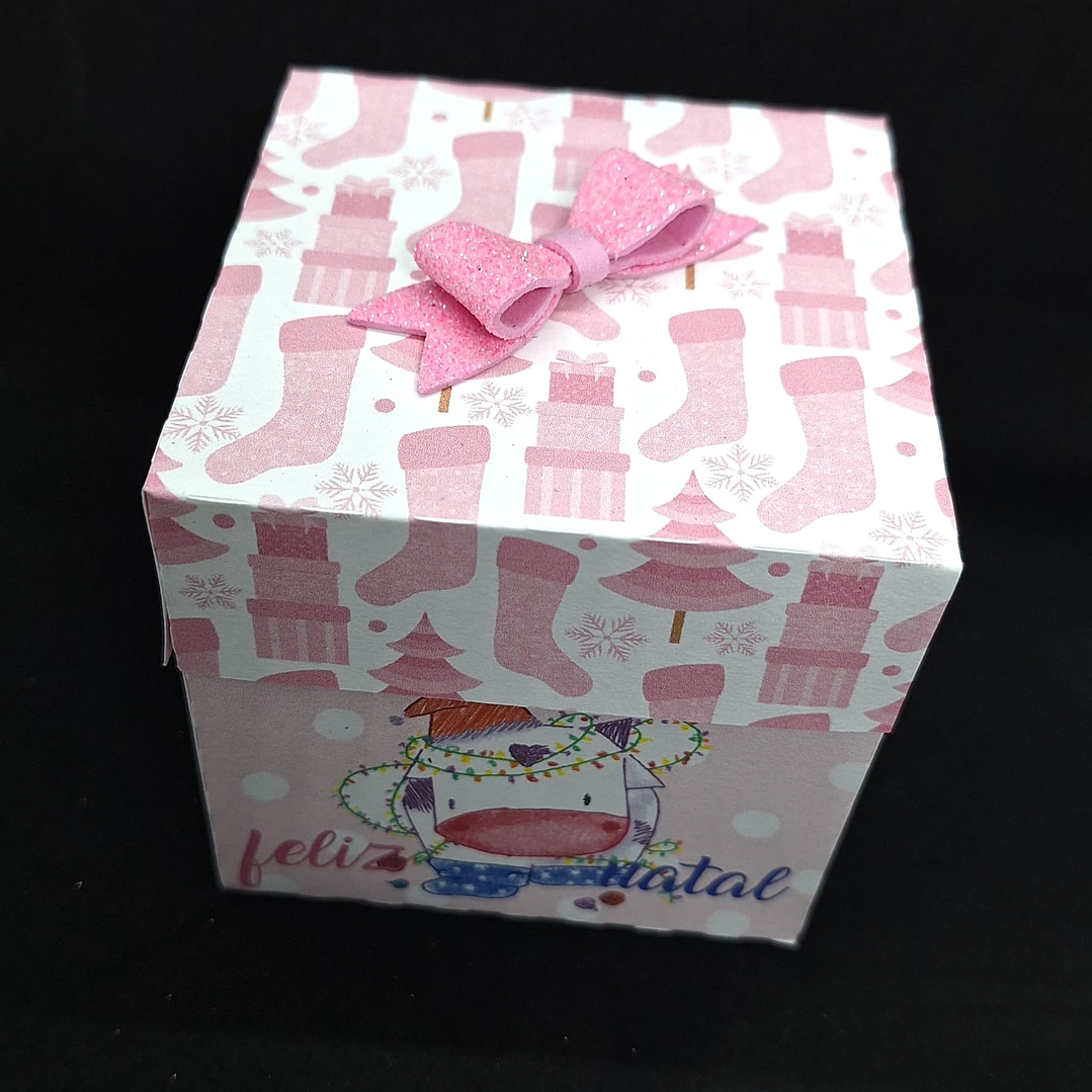 Caxinha quadra Miminho 2