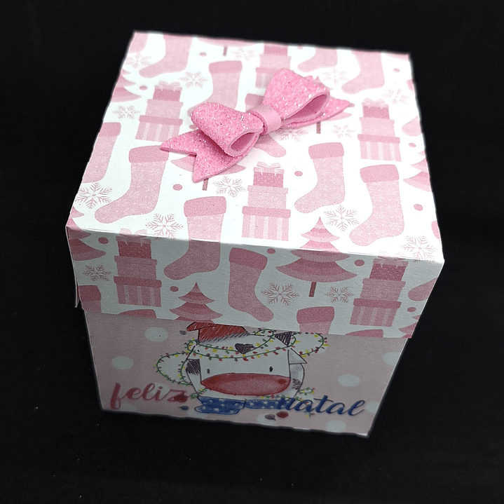 Caxinha quadra Miminho 2