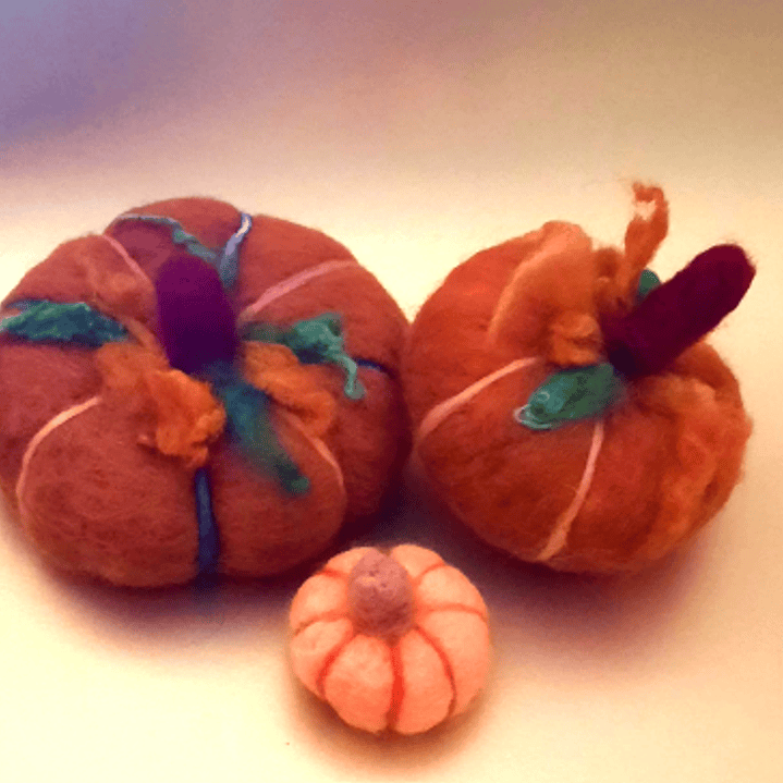 Abóboras Amorosas A Colheita de Lã🎃 1