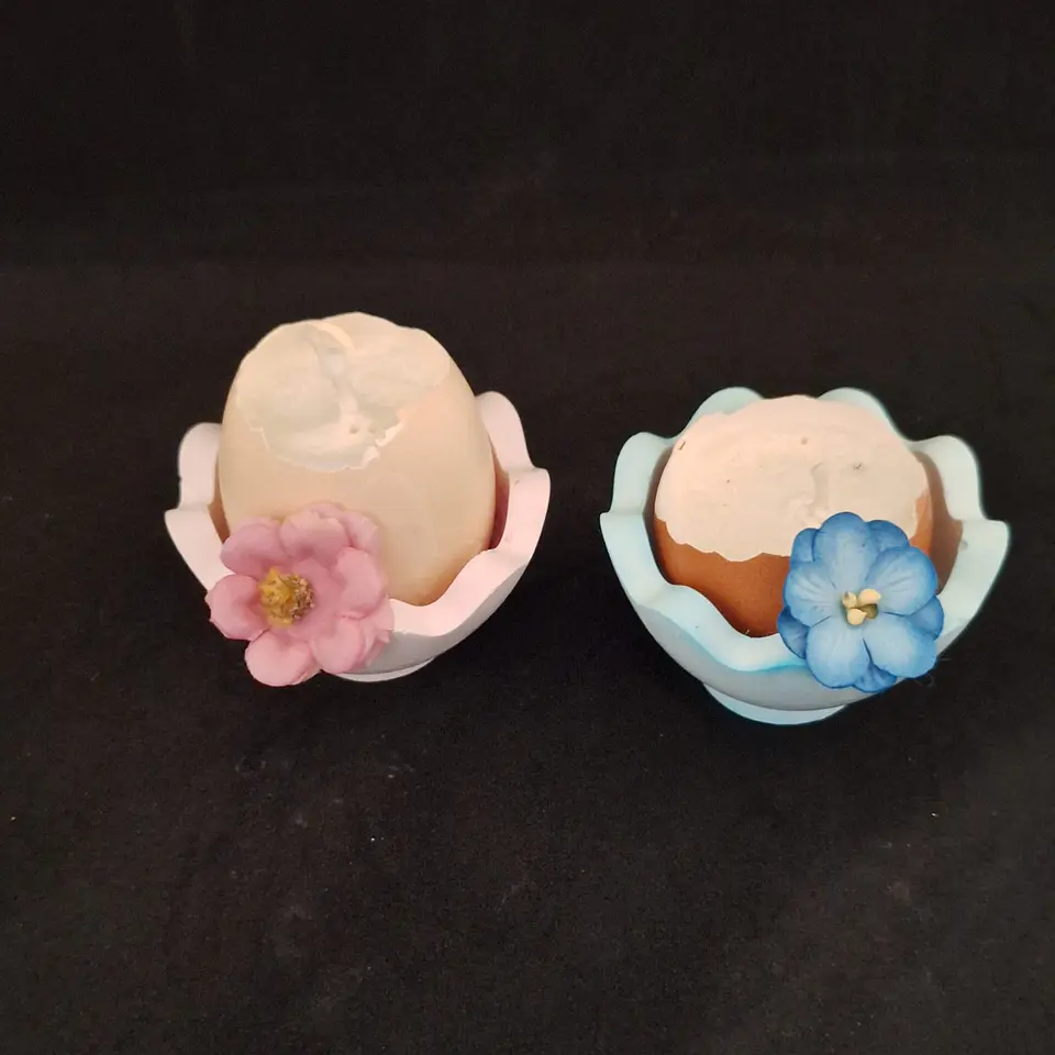 Casca de Luz – Edição Páscoa 2