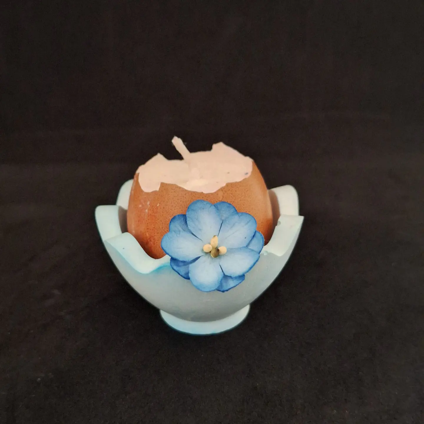 Casca de Luz – Edição Páscoa 3