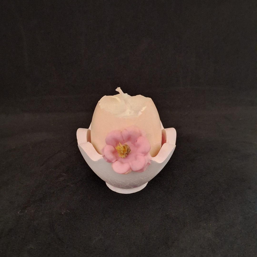 Casca de Luz – Edição Páscoa 6