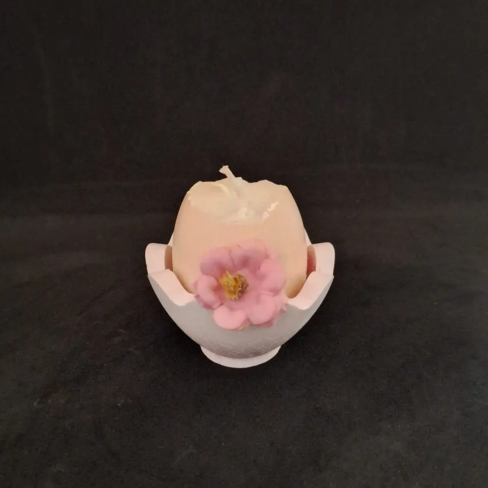 Casca de Luz – Edição Páscoa 6