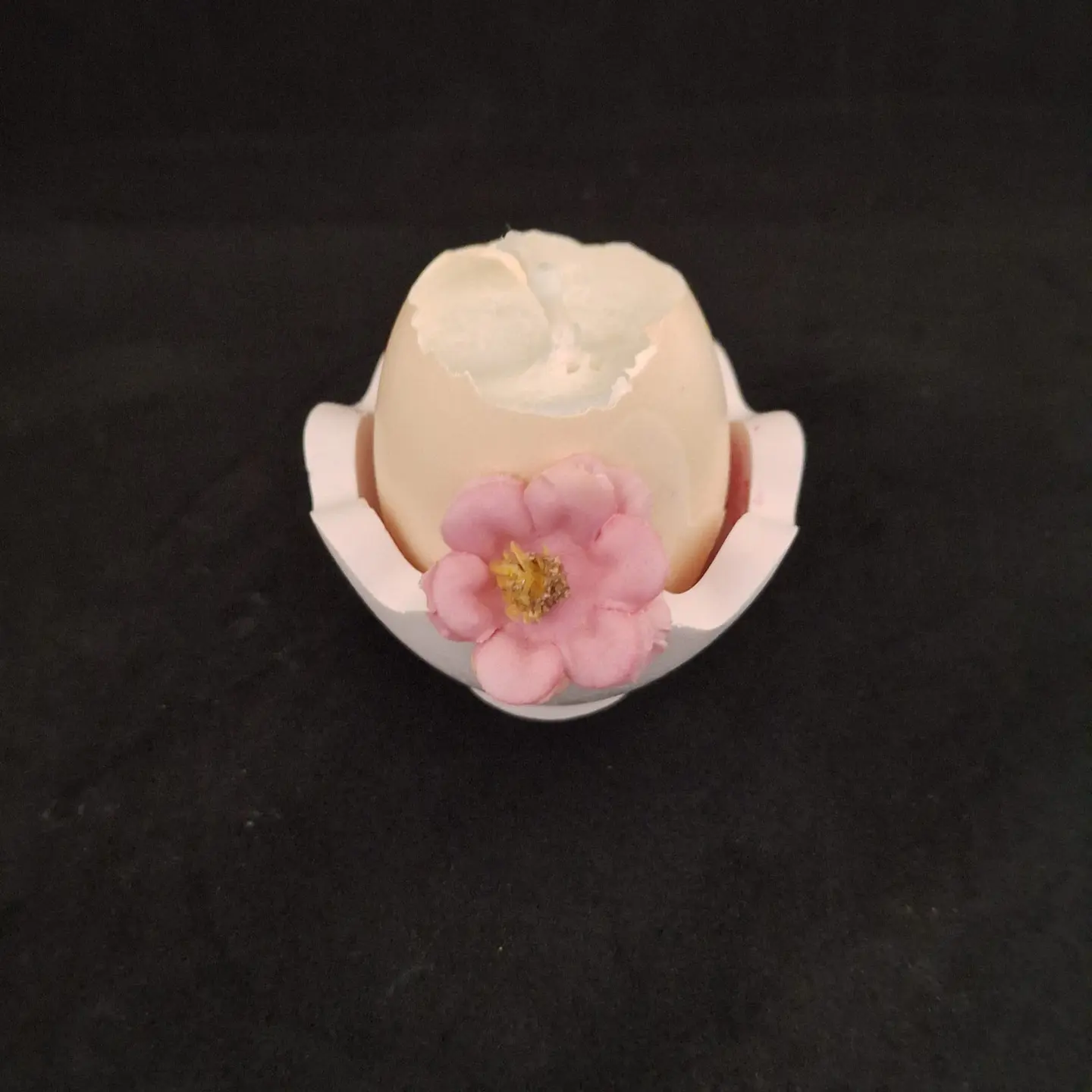 Casca de Luz – Edição Páscoa 9