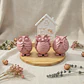 Giftbox Owls in Home - Thumbnail 3