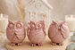 Giftbox Owls in Home - Thumbnail 1