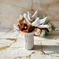 Flores de Outono - Thumbnail 4