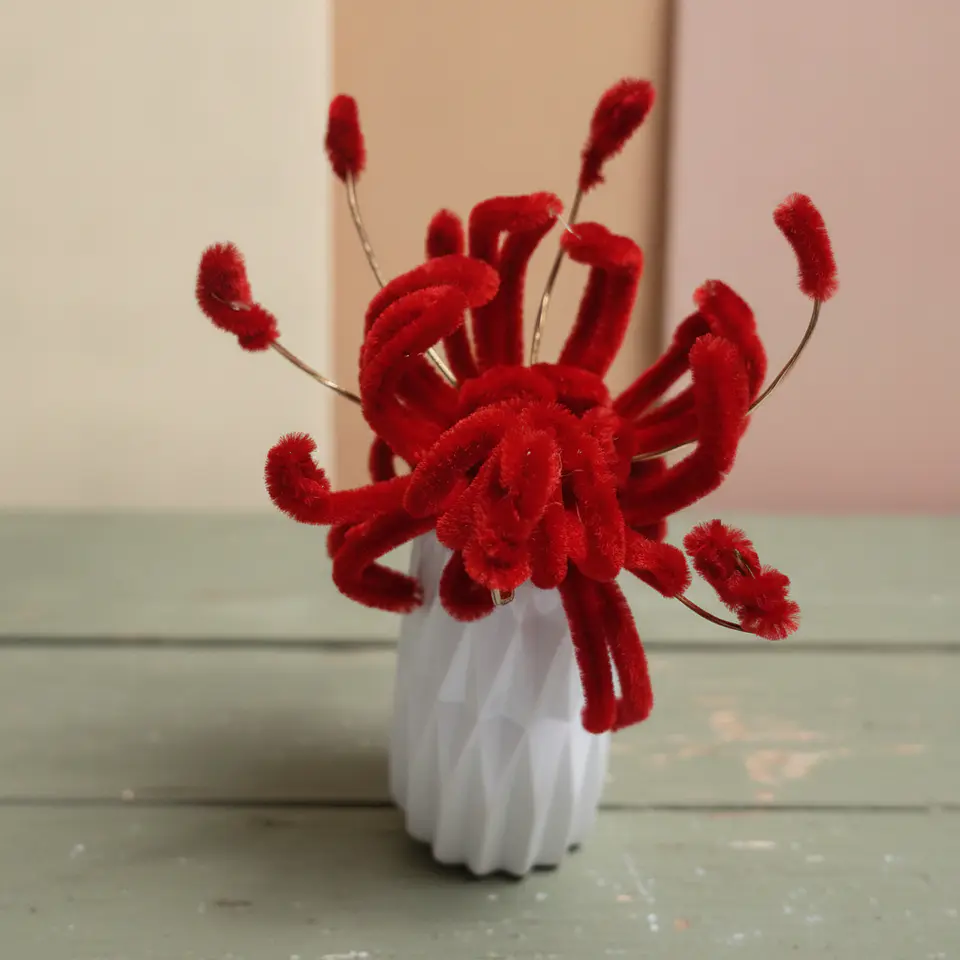 Spider Lily 7