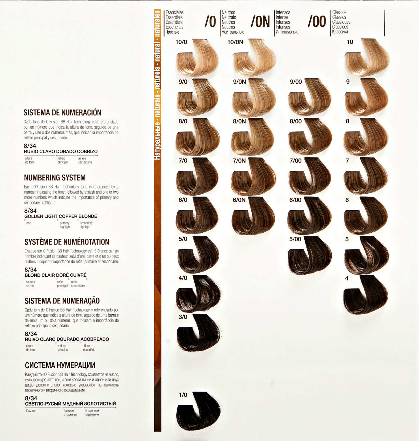 Tintura Ofusion AIDHA KLHER 100g  3