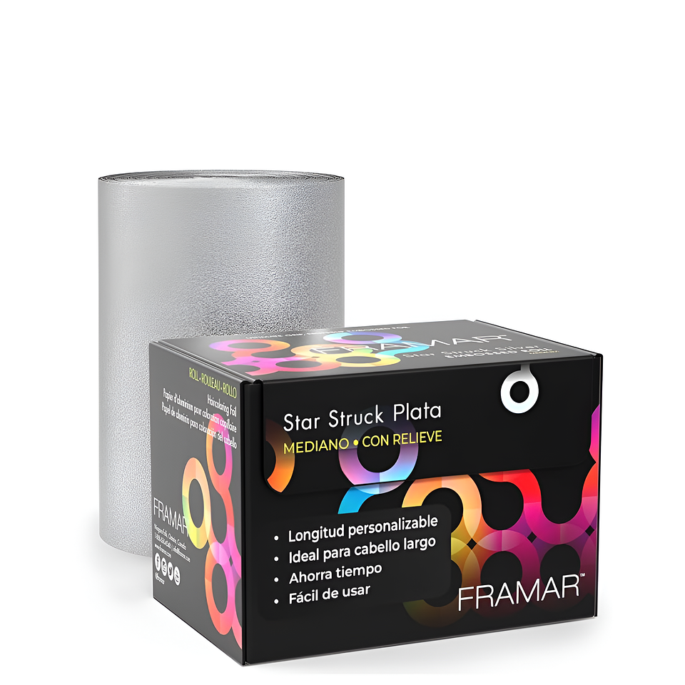 FRAMAR Papel aluminio Framar plateado 500 UNID 1