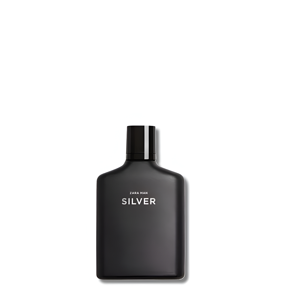 PERFUME ZARA MAN SILVER 30ml 2