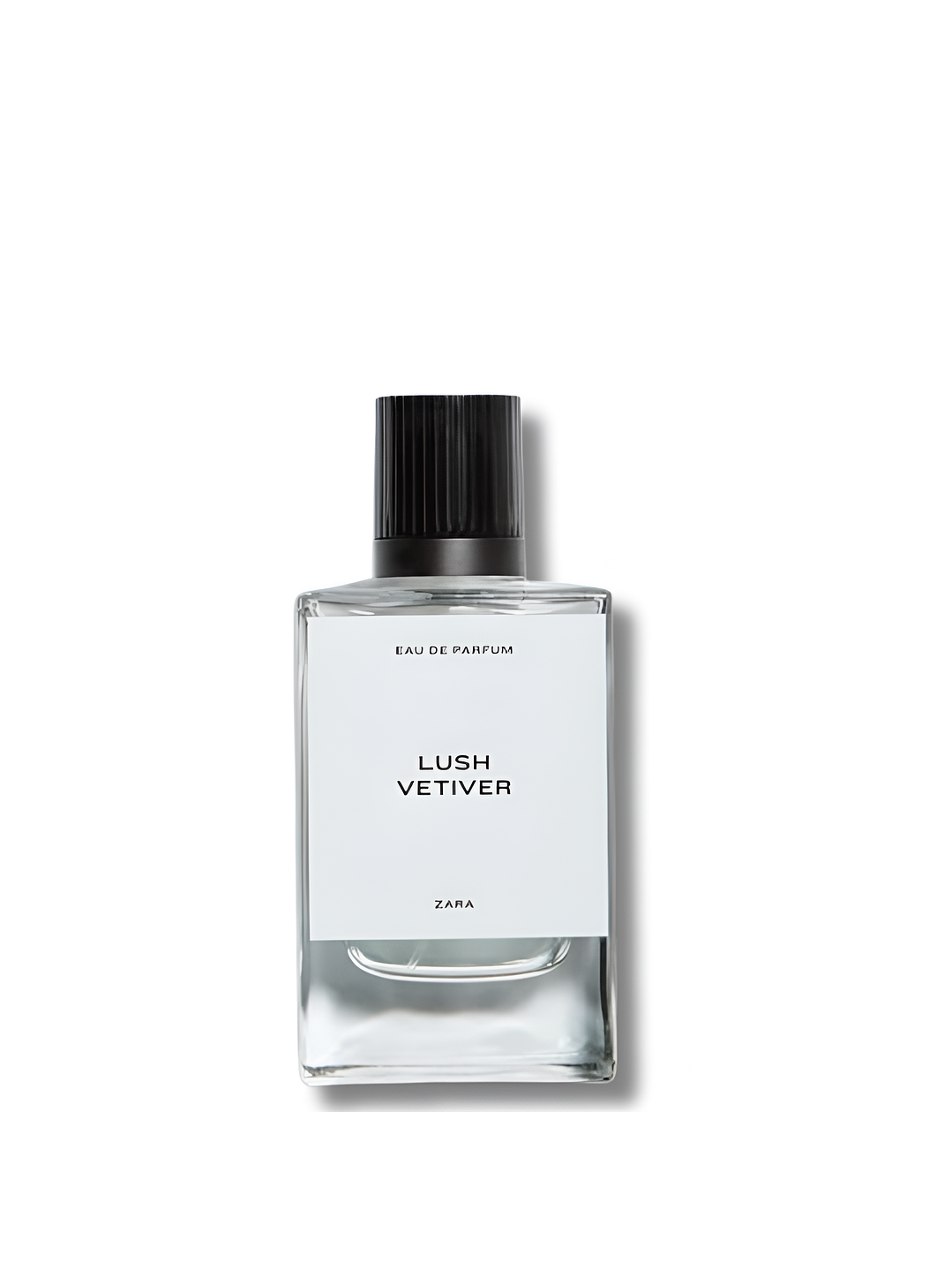 PERFUME ZARA LUSH VETIVER 100ml 2