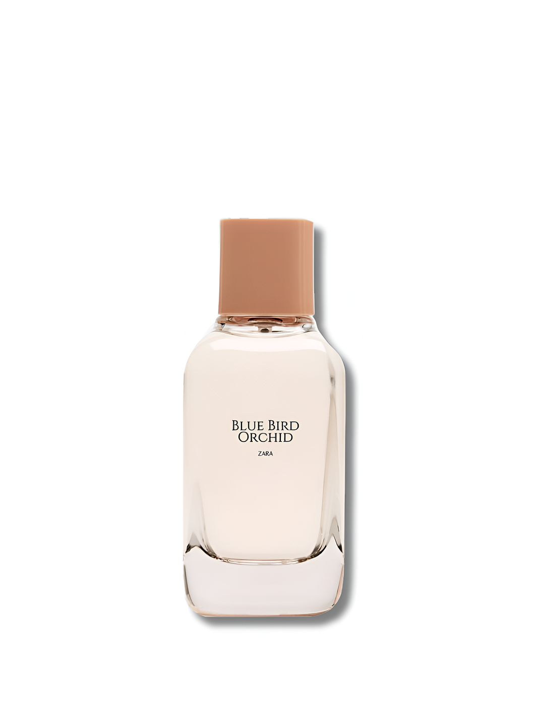 PERFUME ZARA WOMEN BLUE BIRD ORCHID 100ml 3