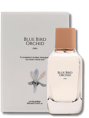 PERFUME ZARA WOMEN BLUE BIRD ORCHID 100ml