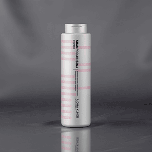 SHAMPOO ABISINIA REPARADORA AIDHA KLHER 300ml