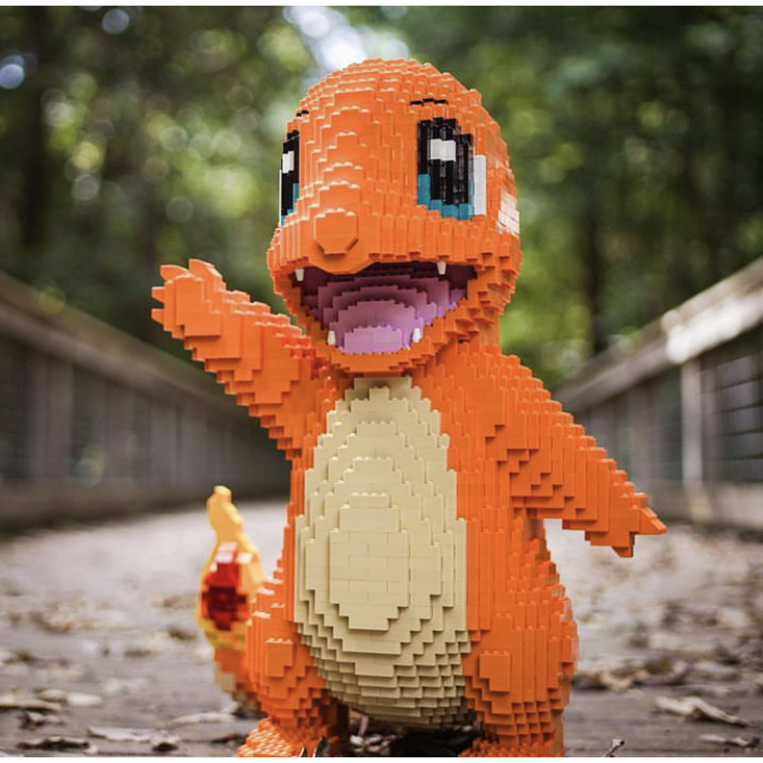 Bloques didácticos Charmander 2