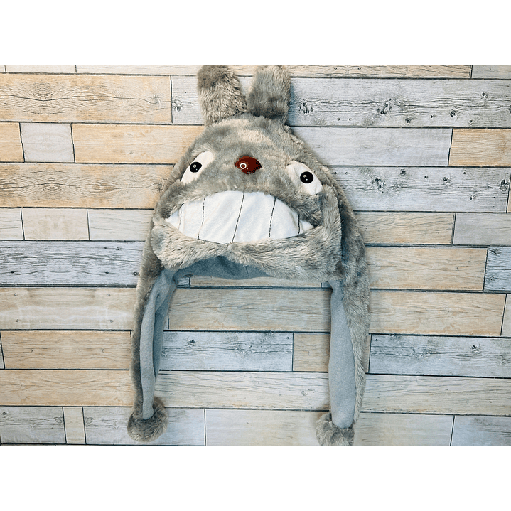 Gorro Totoro 2