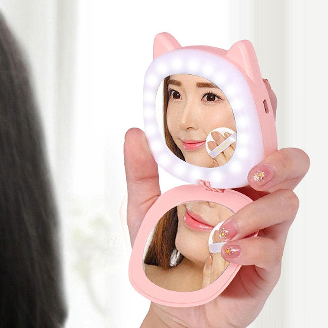 Calentador de mano Chanchito 8